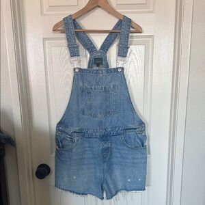 Women’s wild fable jean overall shorts distressed XL